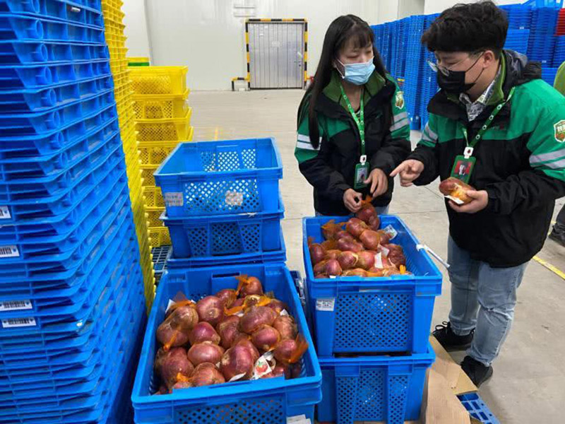 蔬菜生（shēng）鮮使用（yòng）塑料周轉筐